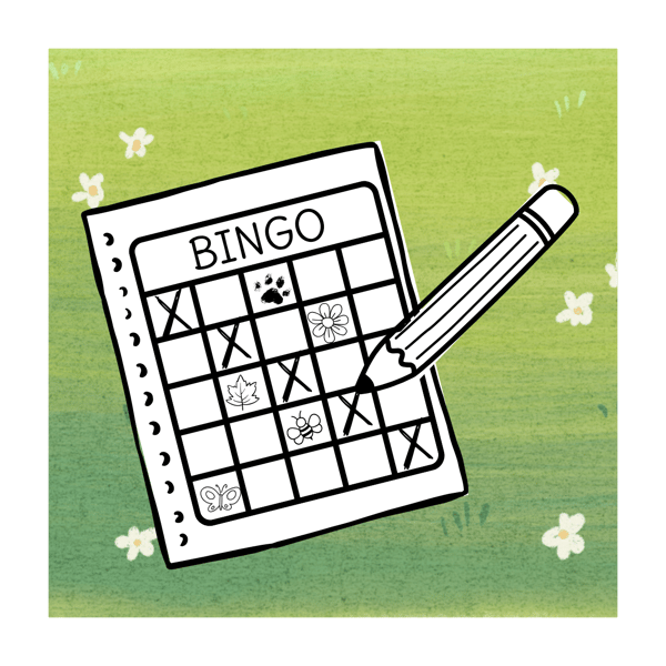 Image for Nature BINGO Walk