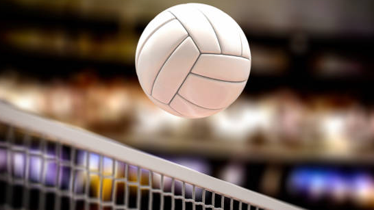 Picture for Volleyball Skills