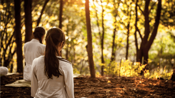 Picture for Mindfulness Meditation: Cultivating Inner Peace & Presence