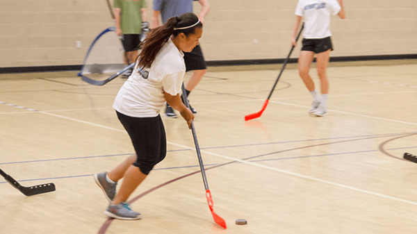 Picture for Floor Hockey Fundamentals