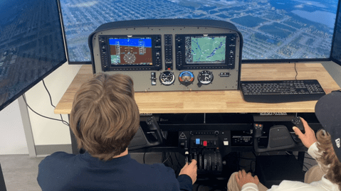 Image for Introduction to Flight (Simulation)