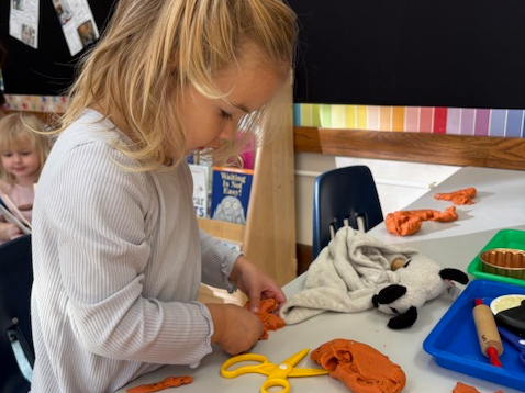 Picture for: ECFE Ready-Set Preschool