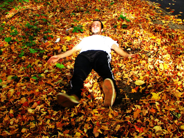 The Leaf Angel
