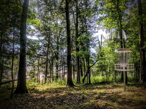 Picture for Disc Golf