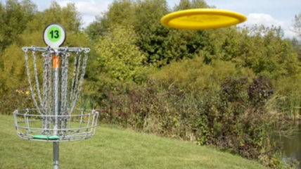 Course Disc Golf image 2