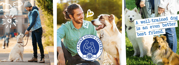 Course Canine Good Citizen image 1