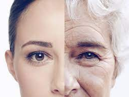 Picture for: THE ART OF AGING WELL: PEEL YEARS OFF YOUR BIO AGE - ONLINE