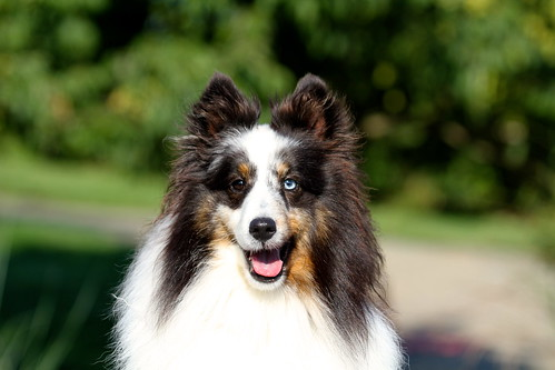 Image for Mind your Manners