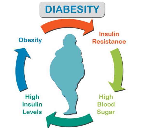 Picture for: SEVEN STEPS TO REVERSE OR PREVENT DIABESITY - ONLINE