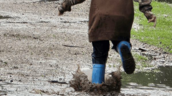 Picture for: Spring Forest Friends at Bertram Park (2-5 years old, Non-separating)