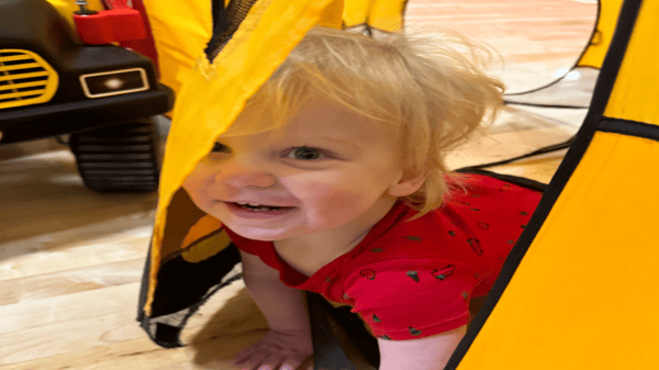 Picture for Pop-In and Play (ages 0-5, non-separating)