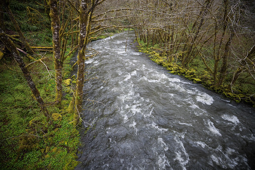 Picture for: ZEBCO School of Fish: Fishing Intro Class
