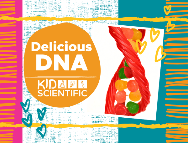 Picture for: Delicious DNA with KidScientific (5-12 years)