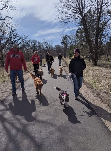 Picture for Fit Dog