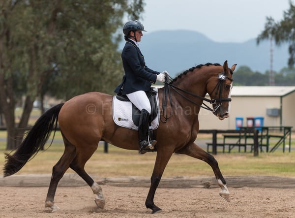 Picture for: Horseback Riding Day Camp, Ages 6-15