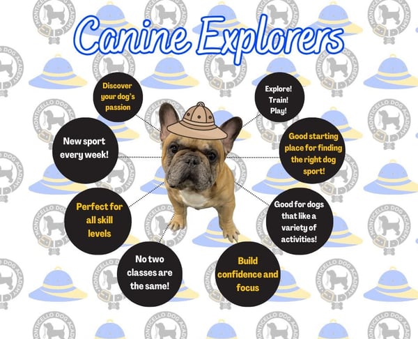 Picture for Canine Explorers