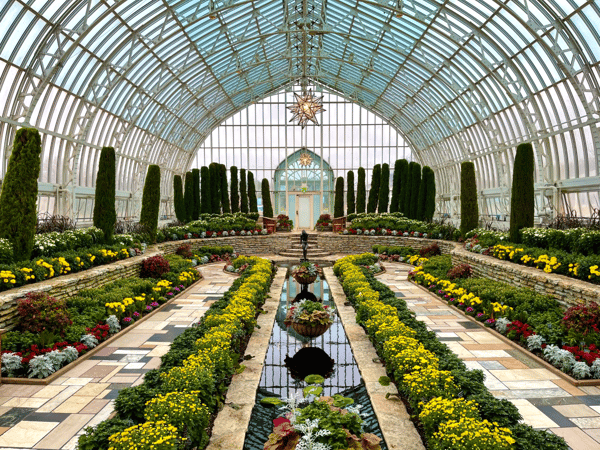 Image for Como Conservatory Guided Tour