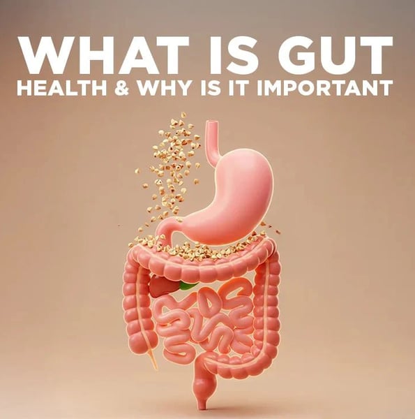 Picture for: Gut Health Series, Saurkraut & kimchi- Age 16+