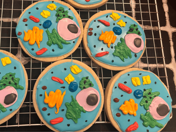 Picture for: EDIBLE 3D CELL MODELS - A Journey into the Microbakery - Grades K-6th