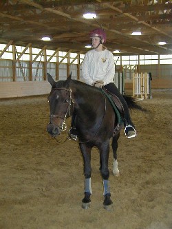 Picture for Week Long Horse Day Camp for ages 6-18