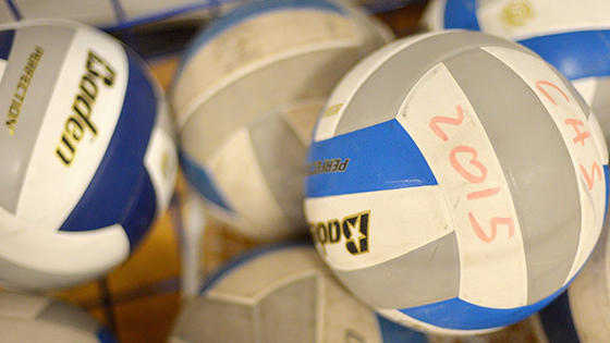 Picture for: Youth Spring Volleyball League (co-ed gr. 4-5)