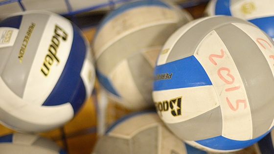 Picture for: Adult Open Volleyball