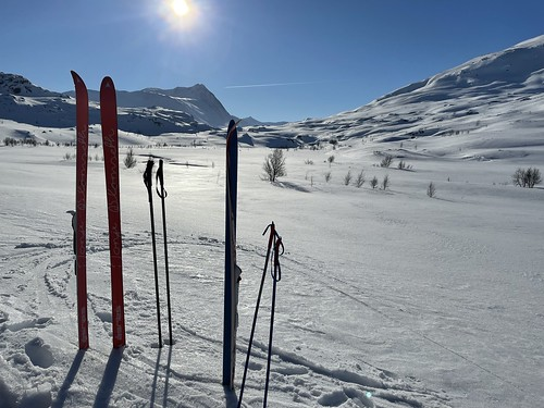 Skiparkerng i vinterferien