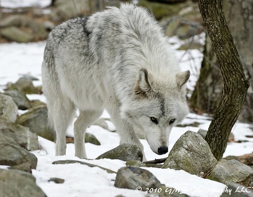 Picture for: Adults with Disabilities