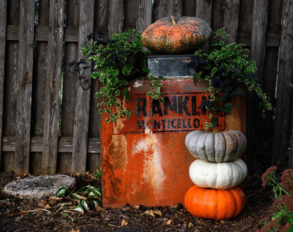 Picture for: NEW! Fall Photography at Lendt's Pumpkin Patch