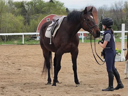Course Spark Equestrian Day Camp (ages 6-12) image 2