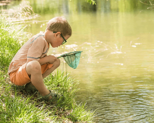 Picture for: Pond Dipping: What's in the Water?