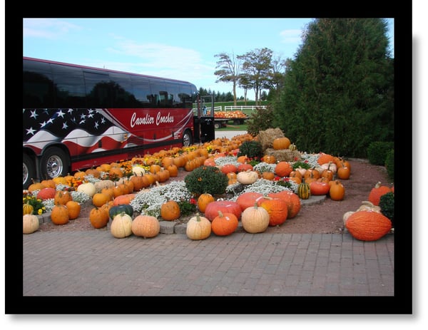 Picture for: Trips-Tours