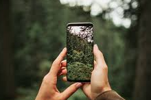 Picture for: Phone Photo Rescue Workshop for Beginners