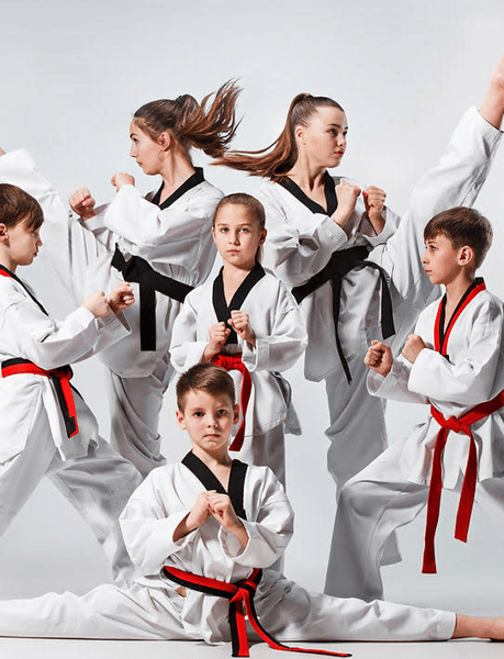 Picture for: Martial Arts for Kids (Kindergarten - Age 12)