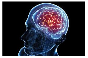 Picture for: Brain Vitality: Unlock Your Mental Edge