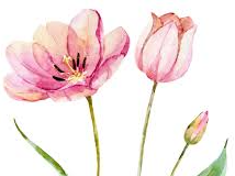 Picture for: Paint Pals: Parent & Me Watercolor