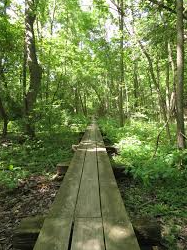 Picture for: Spring Plant Hike at River Bend Nature Center!