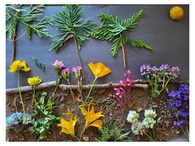 Picture for: Nature Art with a River Bend Nature Center Naturalist!