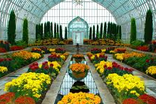 Picture for: Behind the Scenes at Como Conservatory