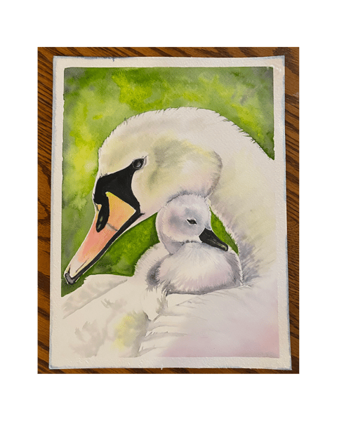 Picture for: Beginner Watercolor: Sweet Swans