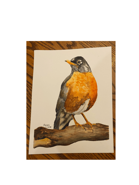 Picture for: Beginner Watercolor: Robin