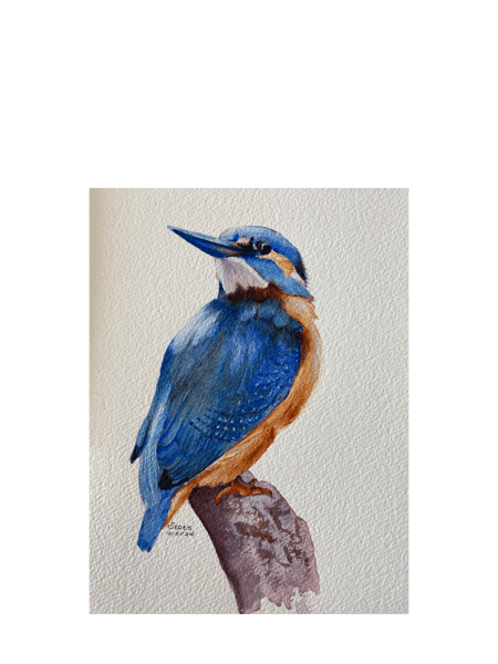 Picture for: Beginner Watercolor: Kingfisher