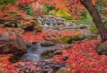 Picture for: A Day at the Arboretum