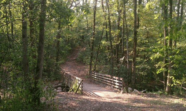 Image for Nature Walk with a Minnesota Master Naturalist!