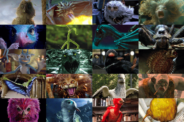 Image for Magizoologist Training (Ages 7-10)