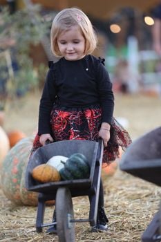 Picture for: Harvest Party