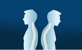 Picture for: Posture & Osteoporosis: Building Better Bones