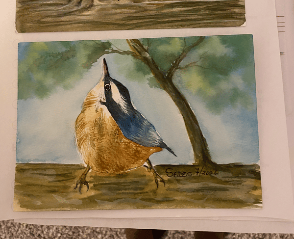 Picture for: Beginner Watercolor: Chickadee & Nuthatch
