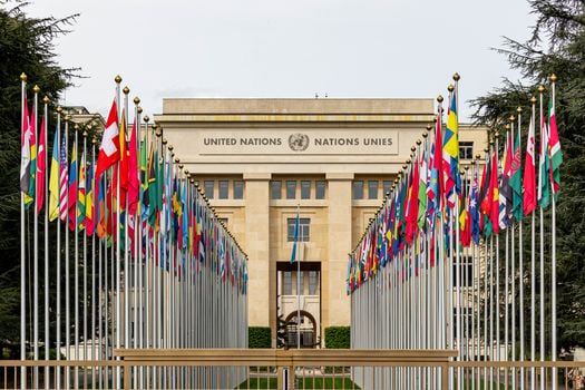 Picture for Foreign Policy: A Year in Review with Anne Linnee - Intergenerational