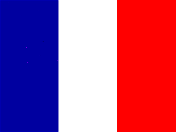 Picture for: French for Travelers